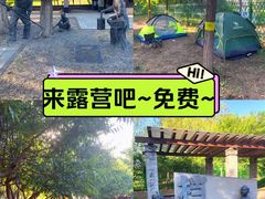 -永定河休闲森林公园