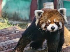 -泉州海丝野生动物世界