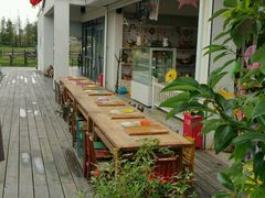 -田园东方蜜桃村的田野营地