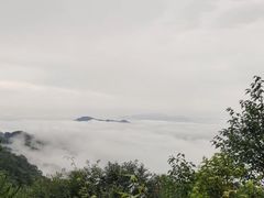 -梦幻奥陶纪景区