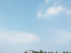 -贡湖湾湿地公园