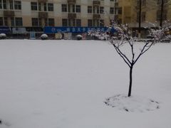 -南京农业大学(浦口校区)