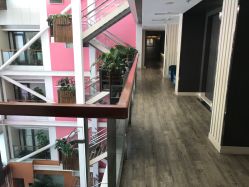 走廊-知爱母婴专护全套房月子会所(新华路店)