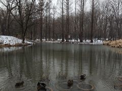 -洛阳市隋唐城遗址植物园