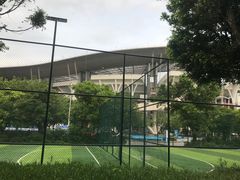 -奥林匹克体育中心游泳馆