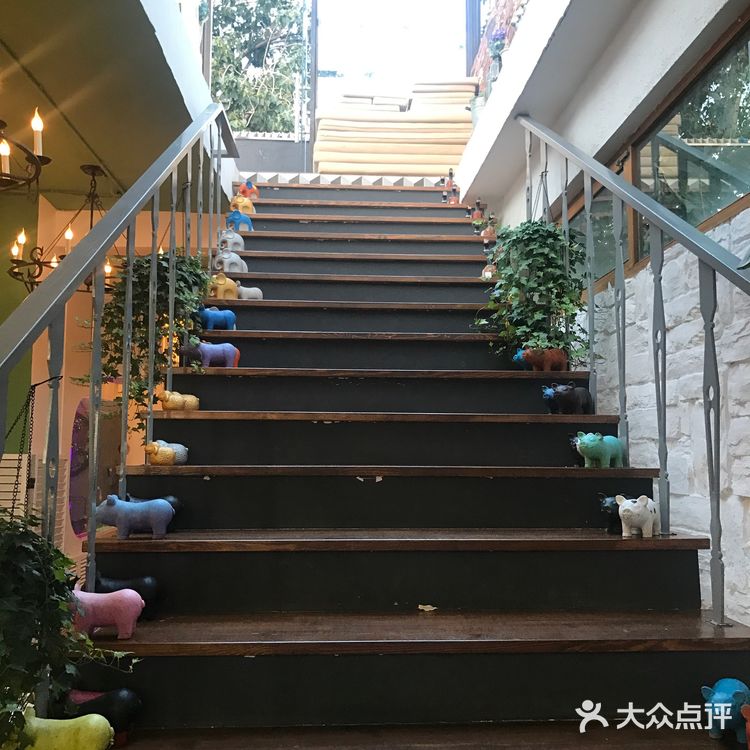 可以看的到鼓楼的鸟窝