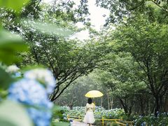 -达蓬山旅游度假区