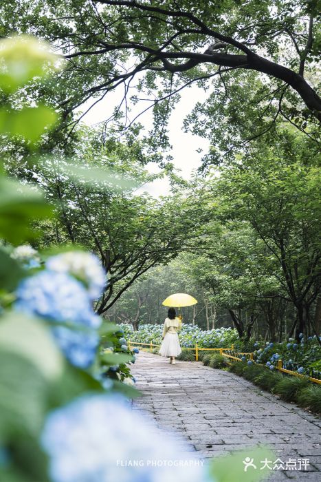 达蓬山旅游度假区图片