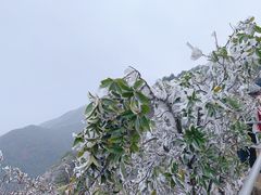 -金子山原生态旅游风景区