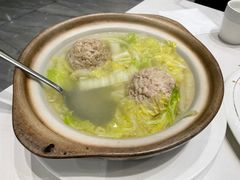 -丁老爷子苏香圆