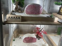 -牛道·和牛九食(市府恒隆广场店)