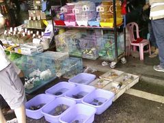 -清平路水族市场