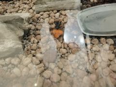 -上海昆虫博物馆