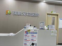 -瑞鹏宠物医院·骨外科·心肾科·肿瘤科(九亭店)