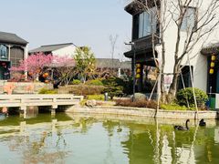 -雅达·阳羡溪山小镇中心