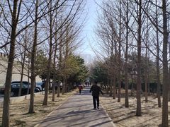 -中国人民抗日战争纪念雕塑园