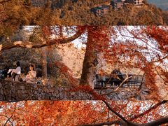 -莫干山风景区