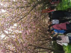 -西安青龙寺遗址景区