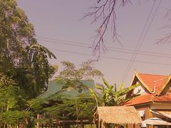 -西双版纳傣族园