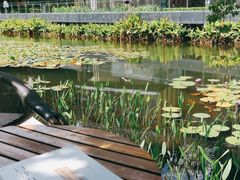 -星巴克(深圳前海企业公馆店)