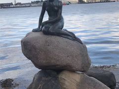 -美人鱼
