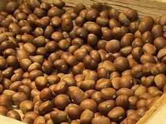 -阿男野栗王(金门路店)