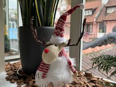 -蝶舍·MAISON PAPILLON