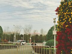 -武汉客厅中国文化博览中心