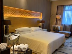 -西安赛瑞喜来登大酒店