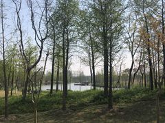 -上海长兴岛郊野公园