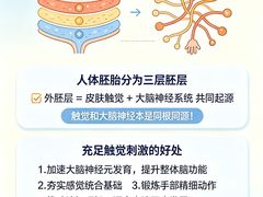 -金色雨林感统训练·专注力·语言认知·心理沙盘(天通苑校区)