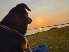 -漕湖湿地公园