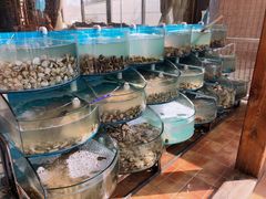 水产区-同道蒸汽海鲜烧烤自助(刘庄夜市店)