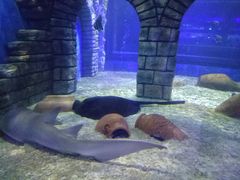-梦幻海洋王国(吾悦广场张家港店)