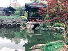 -武汉园博园(武汉自然博物馆)