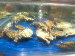 -盒马鲜生(莱蒙都会店)