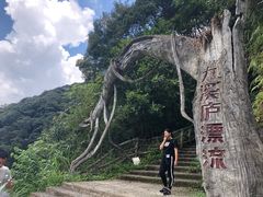-龙岩森林水乡景区