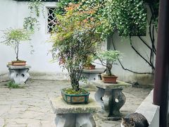 -西园戒幢律寺