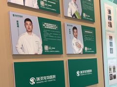 -瑞派伍一宠物医院·眼科·骨科·猫科转诊中心(马王堆院)