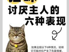 -纳吉亚猫专科动物诊疗中心(蒋宅口分院)