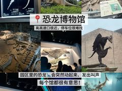 -自贡恐龙博物馆