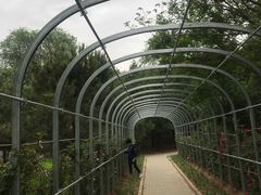 -云岗森林公园