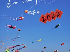 -巨鹏飞梦幻海岸