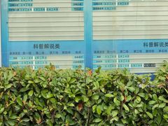 -海合安武汉极地海洋公园