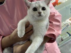 -极木²邸 人与宠物·互动社区