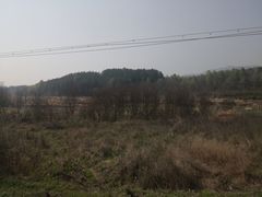 -素山寺森林公园