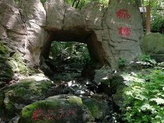 -天女山森林公园