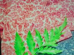 -辉哥火锅(虹桥路店)