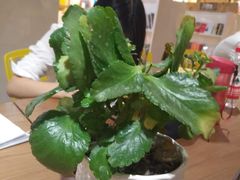 -新华里咖啡书吧(新华书店小寨店)