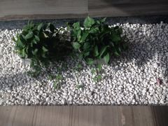 iphone_upload_pic-中航城市广场